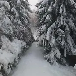 Linia Деревянный коттедж Kokava nad Rimavicou